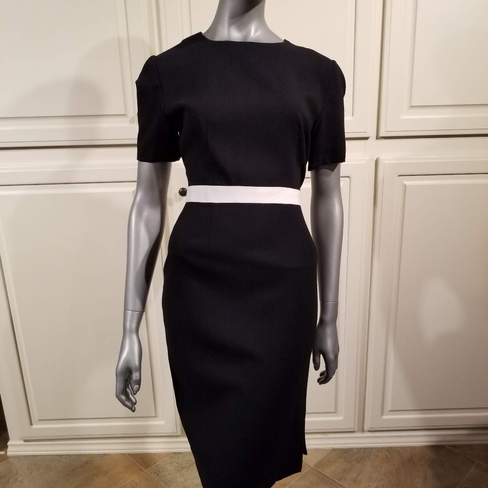 NWT silk dress